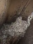 বাল্ক বাহক বিক্রির জন্য