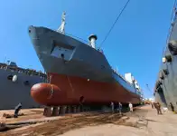 বাল্ক ক্যারিয়ার বিক্রির জন্য