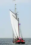 বাল্ক বাহক বিক্রির জন্য