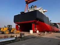 বাল্ক ক্যারিয়ার বিক্রির জন্য