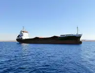 বাল্ক ক্যারিয়ার বিক্রির জন্য