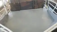 ফেরি জাহাজ বিক্রির জন্য