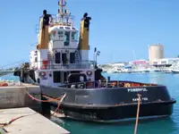টাউবোট বিক্রির জন্য
