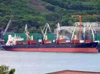 বাল্ক ক্যারিয়ার বিক্রির জন্য