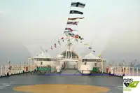 রো-রো জাহাজ বিক্রির জন্য