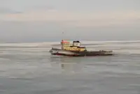 টাউবোট বিক্রির জন্য