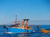Trawler বিক্রির জন্য