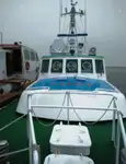 পাইলট নৌকা বিক্রির জন্য