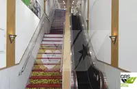 Ro-Ro ship বিক্রির জন্য
