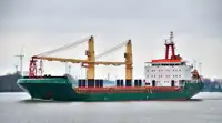 বাল্ক ক্যারিয়ার বিক্রির জন্য