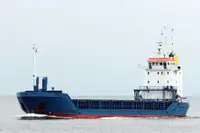 বাল্ক ক্যারিয়ার বিক্রির জন্য