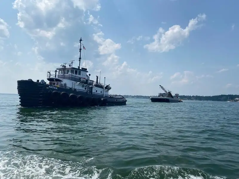 টগবোট বিক্রির জন্য