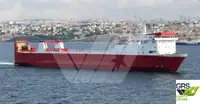 Ro-Ro ship বিক্রির জন্য
