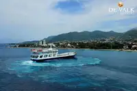 ফেরি জাহাজ বিক্রির জন্য