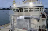 সরাসরি মাছবাহী জাহাজ বিক্রির জন্য