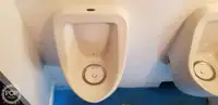ক্যাটামারান বিক্রির জন্য