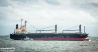 বাল্ক বাহক বিক্রির জন্য