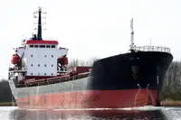বাল্ক ক্যারিয়ার বিক্রির জন্য