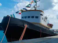 টাউবোট বিক্রির জন্য