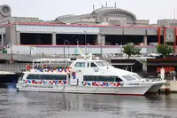 যাত্রীবাহী জাহাজ বিক্রির জন্য