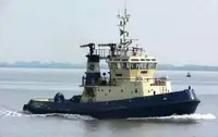 টাউবোট বিক্রির জন্য