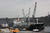 বাল্ক বাহক বিক্রির জন্য