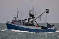 পার্স সেইনার বিক্রির জন্য