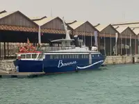 ফেরি জাহাজ বিক্রির জন্য