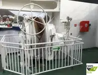 রো-রো জাহাজ বিক্রির জন্য