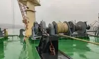 বাল্ক বাহক বিক্রির জন্য