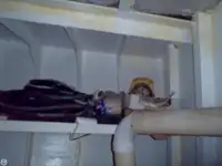 টগবোট বিক্রির জন্য