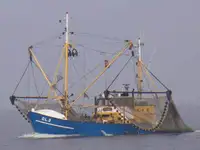 Trawler বিক্রির জন্য