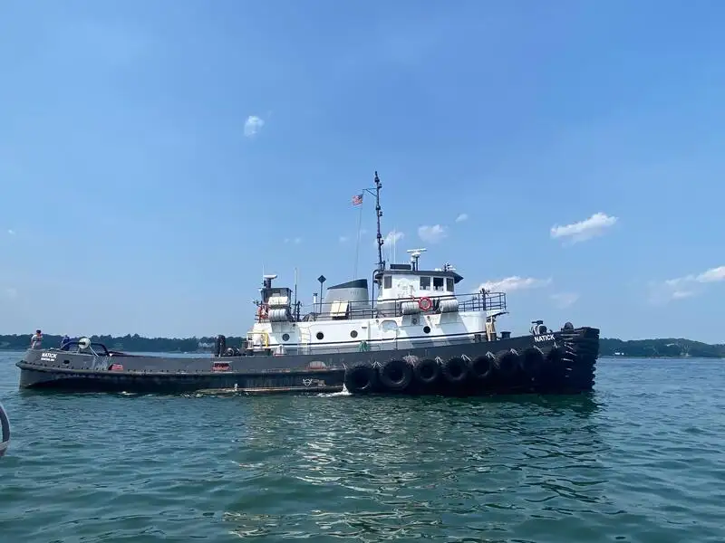 টগবোট বিক্রির জন্য