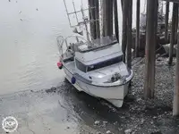 লংলাইনার বিক্রির জন্য