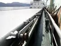 বাল্ক ক্যারিয়ার বিক্রির জন্য