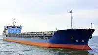 বাল্ক ক্যারিয়ার বিক্রির জন্য