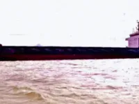 বাল্ক বাহক বিক্রির জন্য
