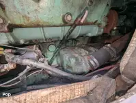 ক্রুজফেরি বিক্রির জন্য