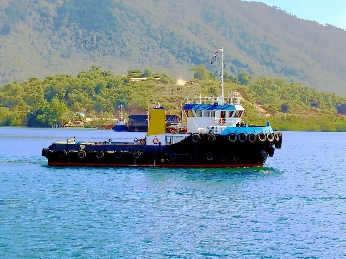 টগবোট বিক্রির জন্য