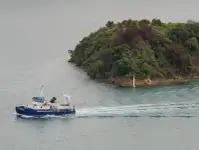 ক্যাটামারান বিক্রির জন্য