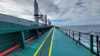 বাল্ক বাহক বিক্রির জন্য