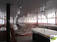 ক্রুজ জাহাজ বিক্রির জন্য