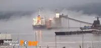 বাল্ক বাহক বিক্রির জন্য