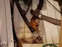 ফেরি জাহাজ বিক্রির জন্য