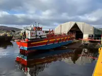 Ro-Ro ship বিক্রির জন্য