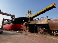 বাল্ক ক্যারিয়ার বিক্রির জন্য