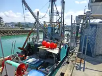 Trawler বিক্রির জন্য