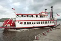 যাত্রীবাহী জাহাজ বিক্রির জন্য