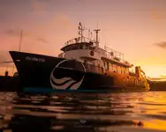 সার্ভে জাহাজ বিক্রির জন্য