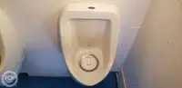ক্যাটামারান বিক্রির জন্য